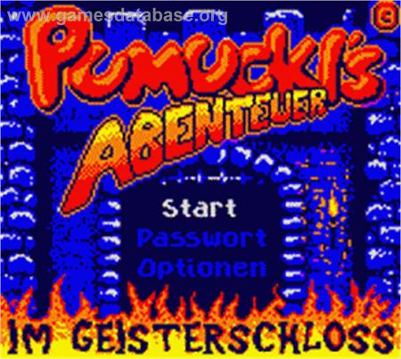 Cover Pumuckl's Abenteuer im Geisterschloss for Game Boy Color